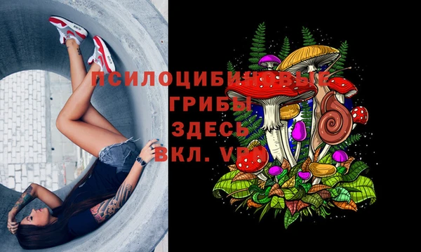 a pvp Михайловск